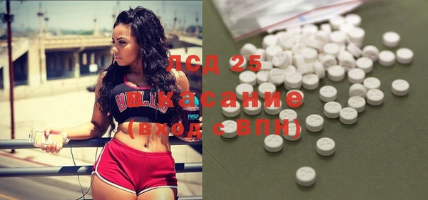 дживик Липки