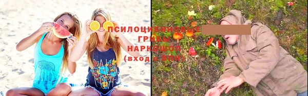 молекула духа Лиски