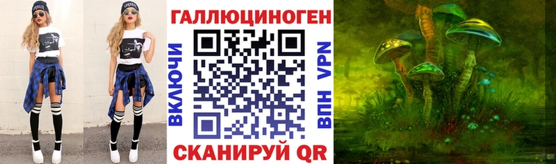 Галлюциногенные грибы Psilocybine cubensis  Купить где  Новочебоксарск 