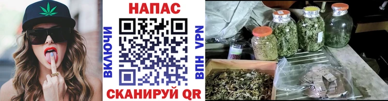 Каннабис конопля Купить Новочебоксарск